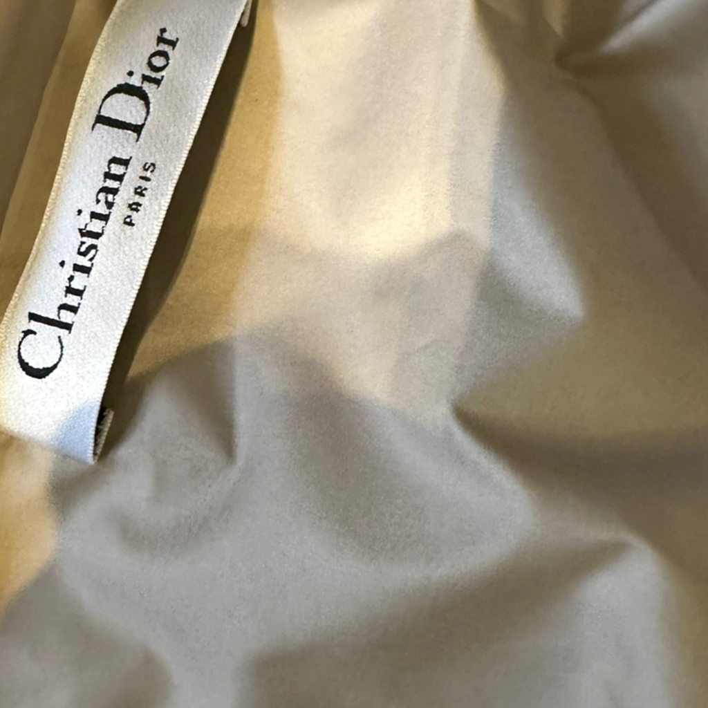 Dior Grecian technical dress The Cotswolds Daughter
Dior 2022 designer dress women
Grecian style technical dress Dior
editorial luxury Dior dress